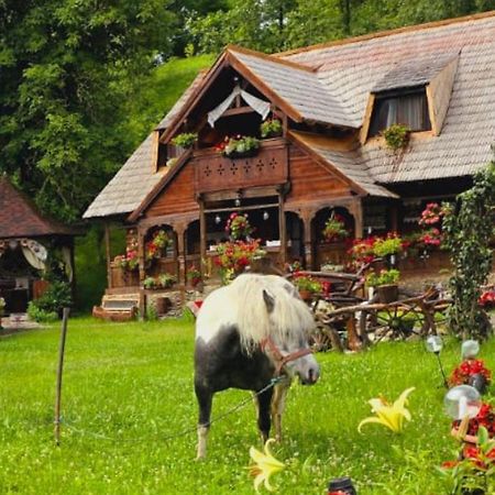 Pensiunea Rustic Oncesti Zewnętrze zdjęcie