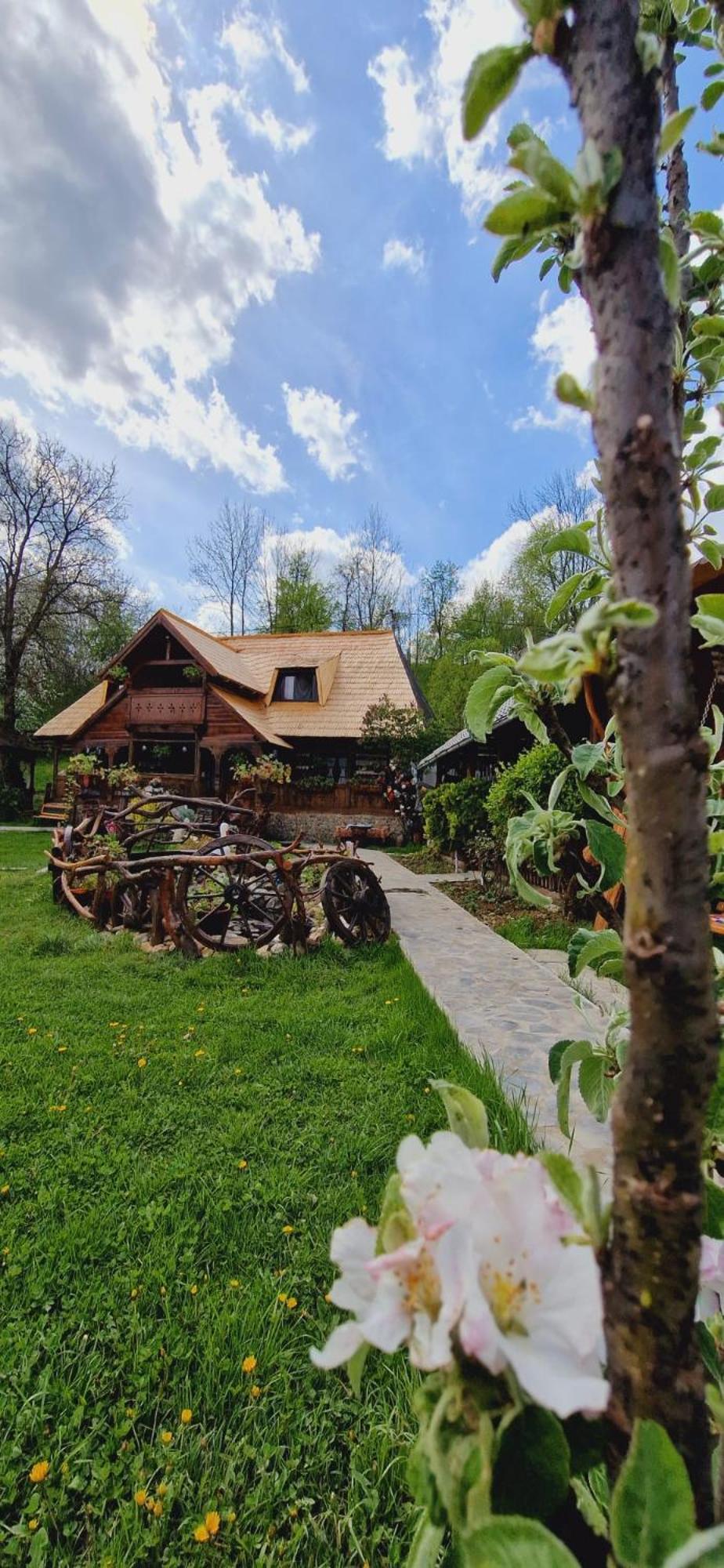 Pensiunea Rustic Oncesti Zewnętrze zdjęcie