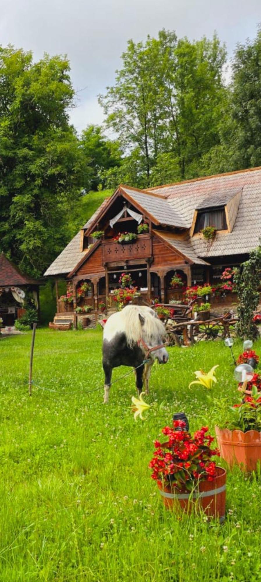 Pensiunea Rustic Oncesti Zewnętrze zdjęcie