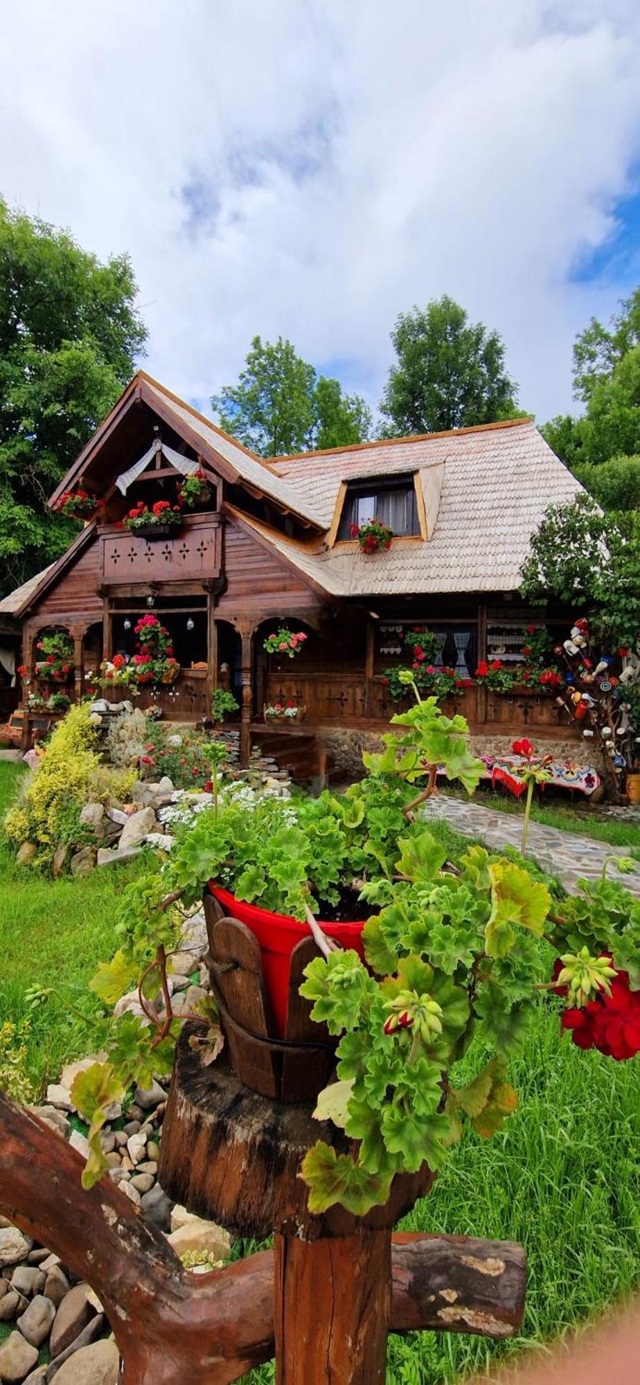 Pensiunea Rustic Oncesti Zewnętrze zdjęcie