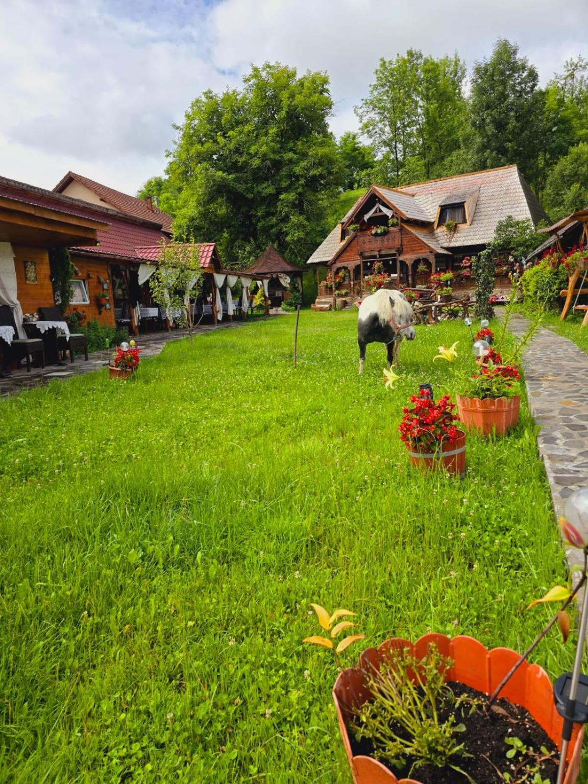 Pensiunea Rustic Oncesti Zewnętrze zdjęcie
